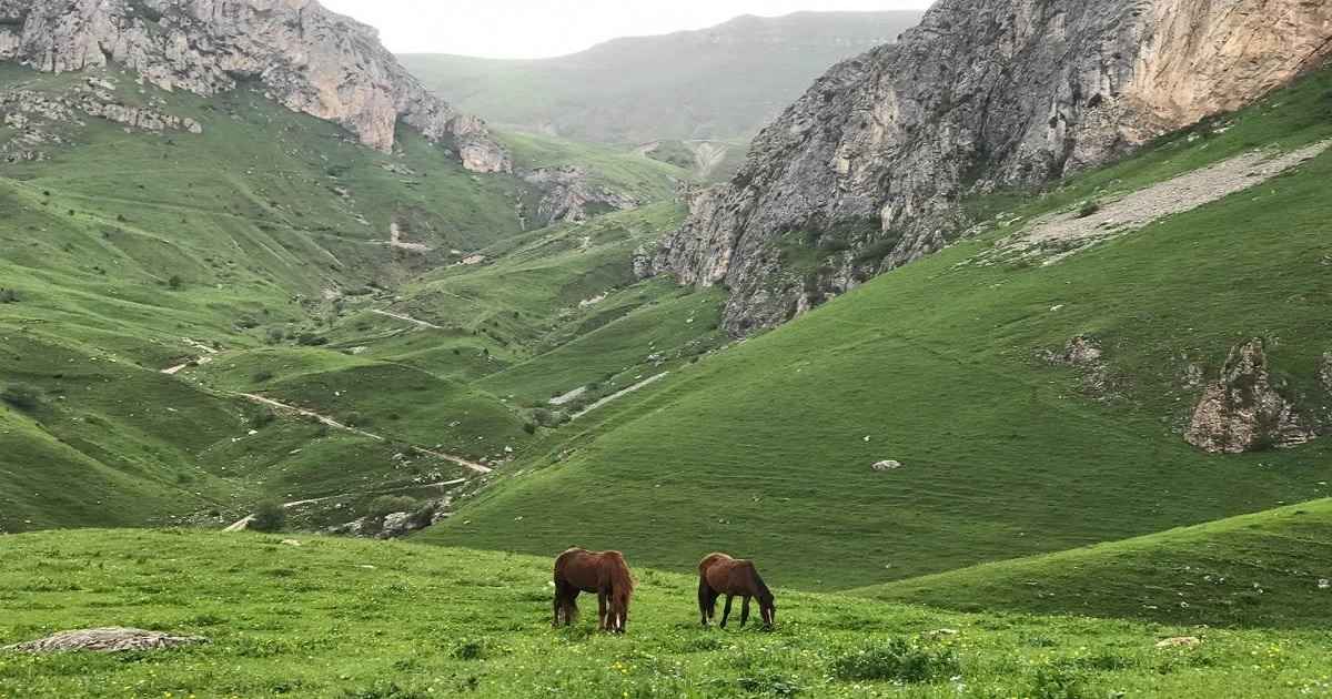 تورهای گیاه شناسی در ارمنستان