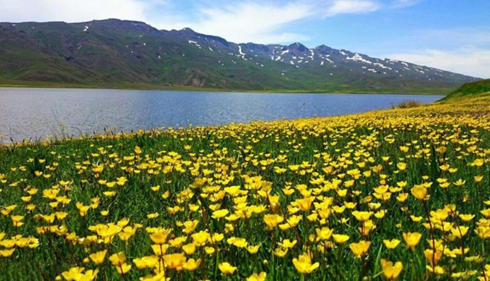 راهنمای کامل سفر از نئور به سوباتان، جاده‌ای رویایی در قلب طبیعت ایران